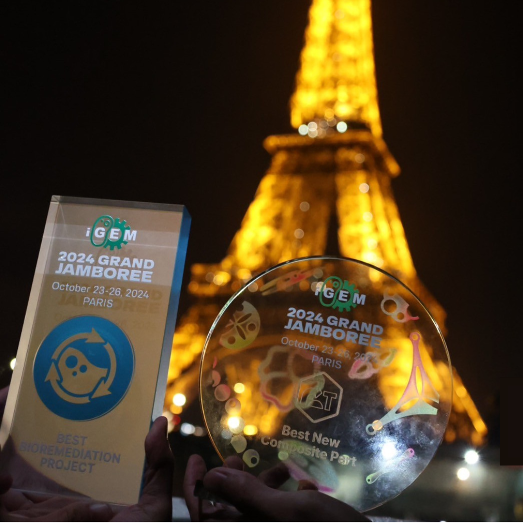 donation and sponsorship